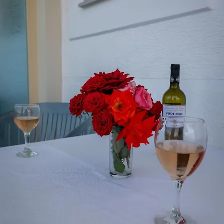 公寓 Vasili 卡萨米尔